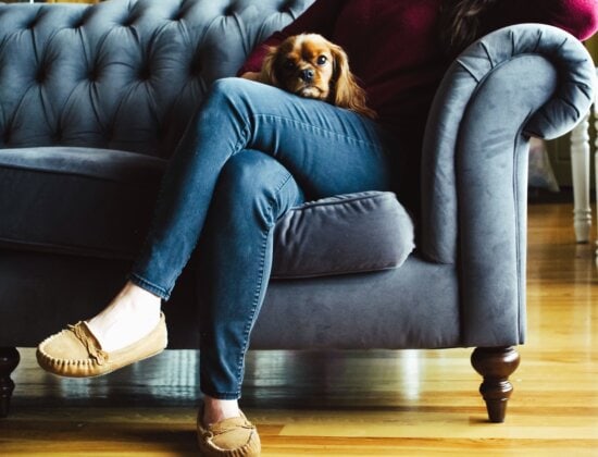 10 Reasons Why Your Dog Loves To Sleep In Between Your Legs