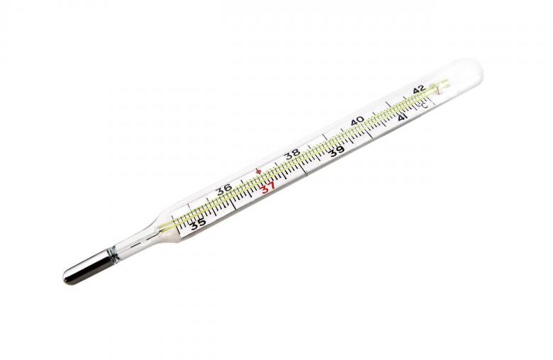 can you take a dogs temperature with a forehead thermometer